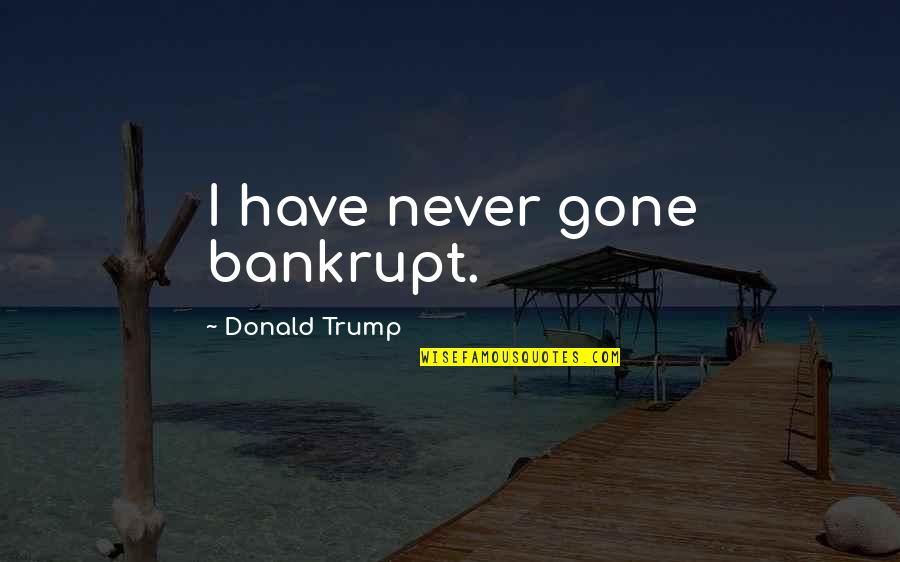 Esterni Quotes By Donald Trump: I have never gone bankrupt.