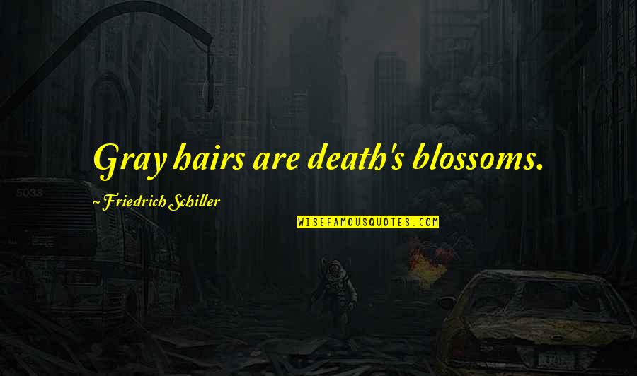 Esternocleidomastoideu Quotes By Friedrich Schiller: Gray hairs are death's blossoms. Esternocleidomastoideu Quotes By Friedrich Schiller: Gray hairs are death's blossoms.