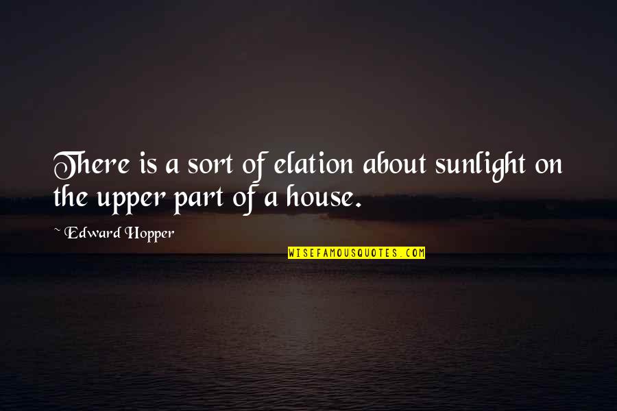 Ester's Quotes By Edward Hopper: There is a sort of elation about sunlight