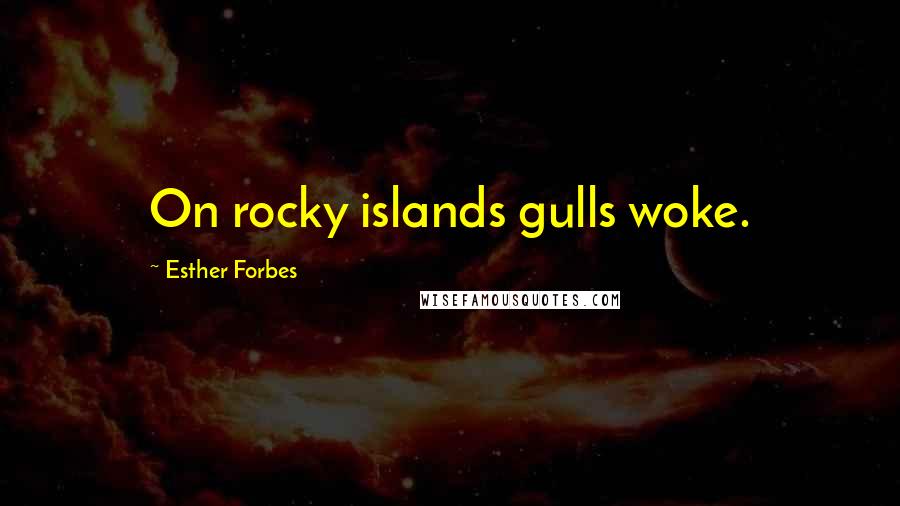 Esther Forbes quotes: On rocky islands gulls woke.