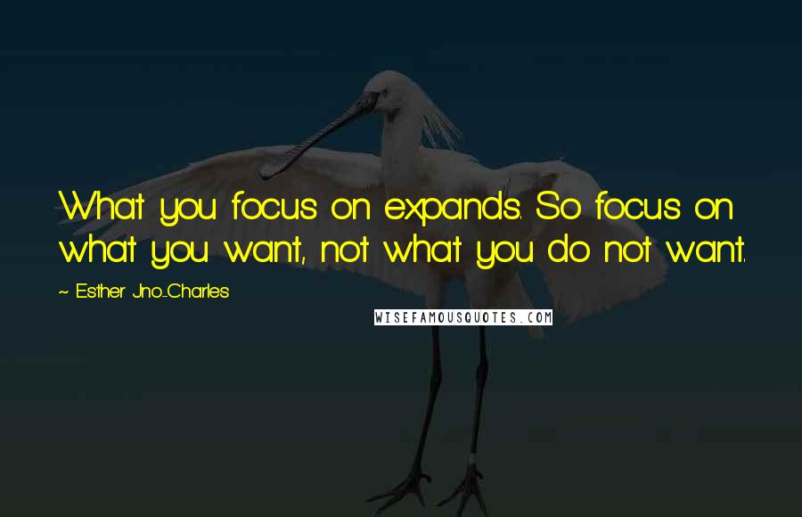 Esther Jno-Charles quotes: What you focus on expands. So focus on what you want, not what you do not want.