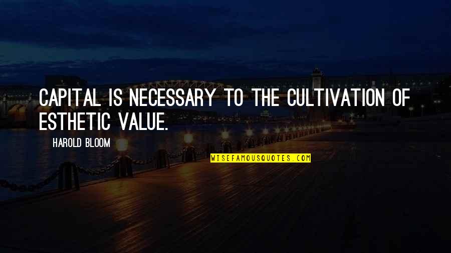 Esthetic Quotes By Harold Bloom: Capital is necessary to the cultivation of esthetic