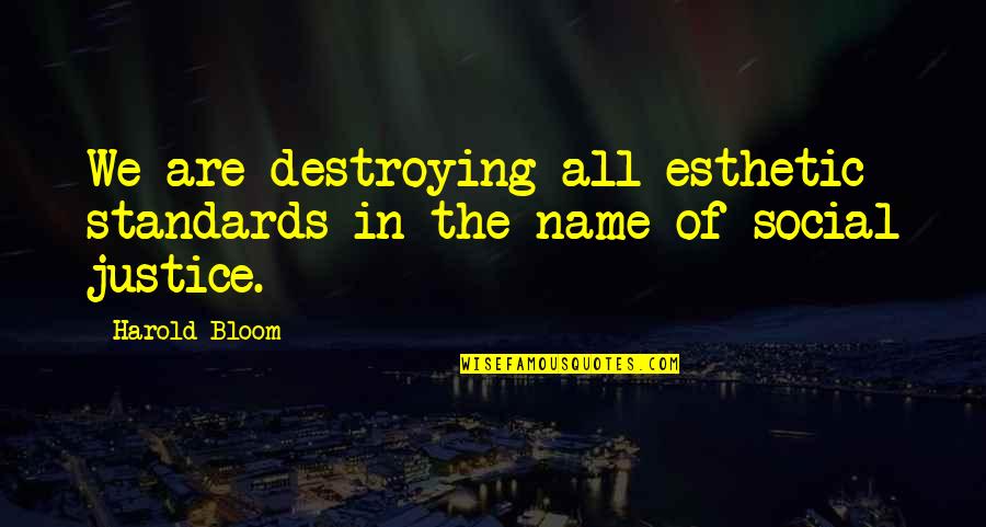 Esthetic Quotes By Harold Bloom: We are destroying all esthetic standards in the