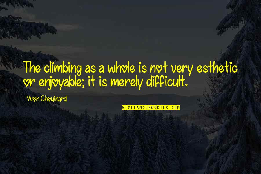 Esthetic Quotes By Yvon Chouinard: The climbing as a whole is not very