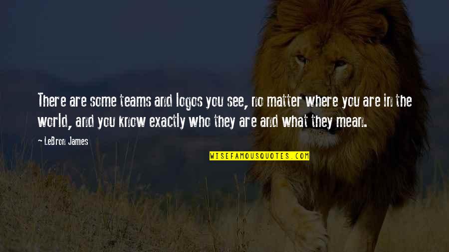 Estilete Anatomia Quotes By LeBron James: There are some teams and logos you see,