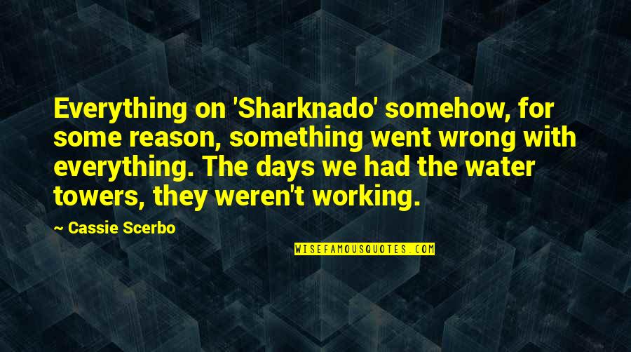 Estilha Pre O Quotes By Cassie Scerbo: Everything on 'Sharknado' somehow, for some reason, something