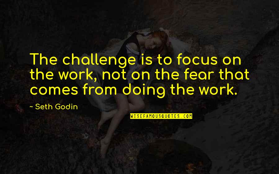 Estilha Pre O Quotes By Seth Godin: The challenge is to focus on the work,