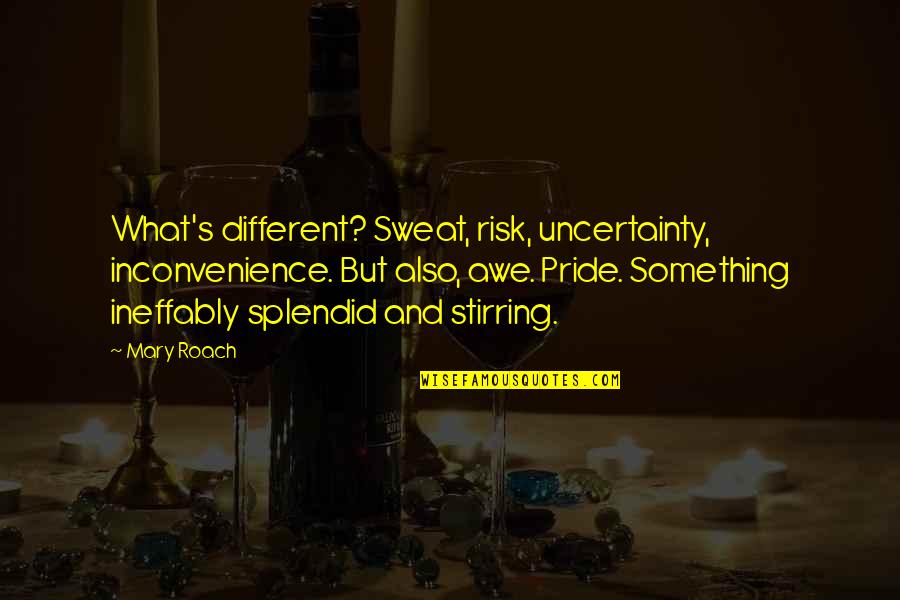 Estimer Le Quotes By Mary Roach: What's different? Sweat, risk, uncertainty, inconvenience. But also,