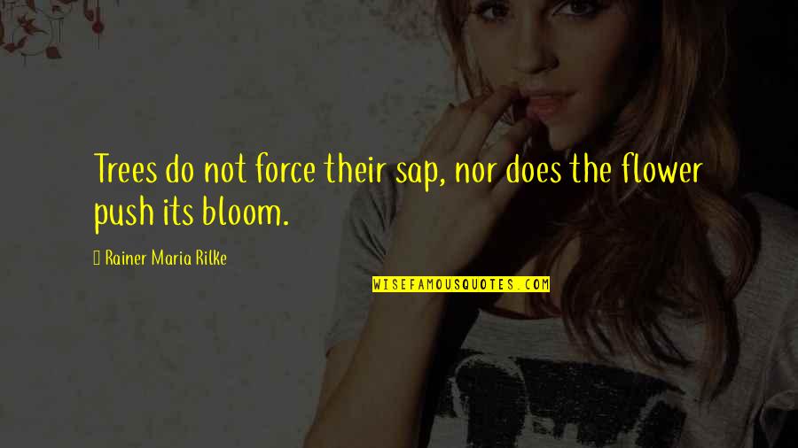 Estivo John Quotes By Rainer Maria Rilke: Trees do not force their sap, nor does Estivo John Quotes By Rainer Maria Rilke: Trees do not force their sap, nor does