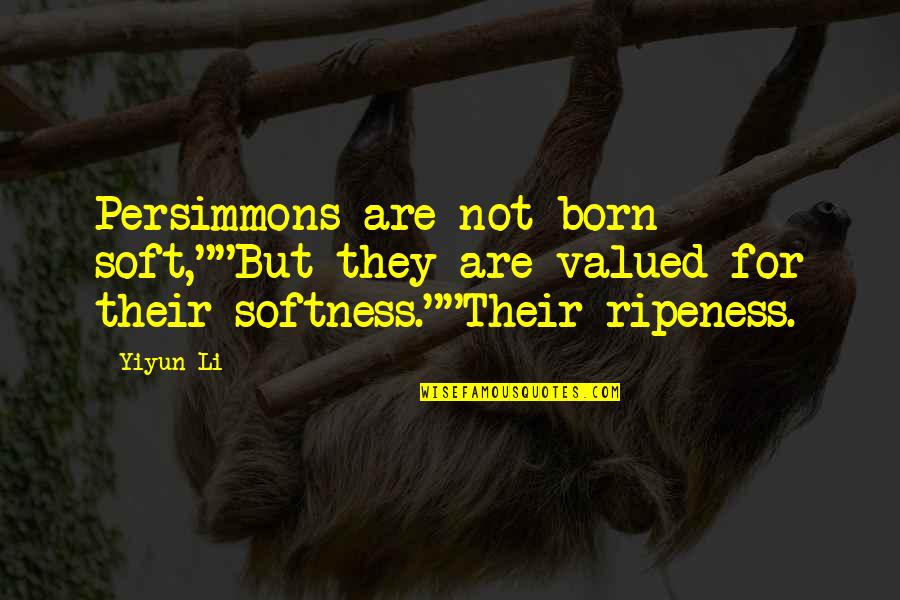 Estlander Ehitus Quotes By Yiyun Li: Persimmons are not born soft,""But they are valued