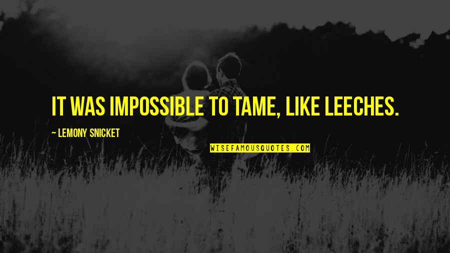Estlund Associates Quotes By Lemony Snicket: It was impossible to tame, like leeches.