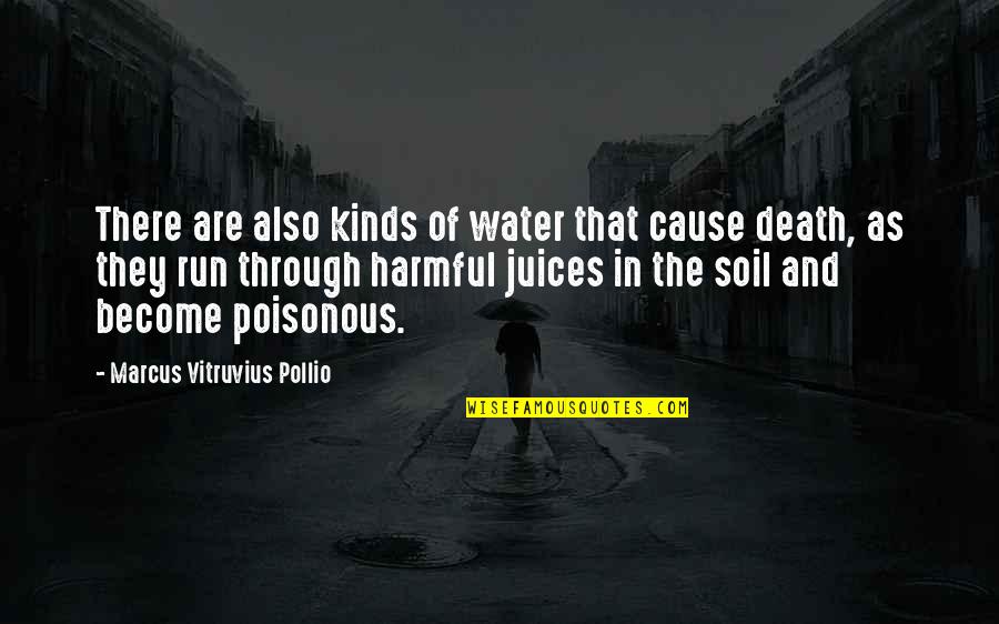 Estona Jones Quotes By Marcus Vitruvius Pollio: There are also kinds of water that cause