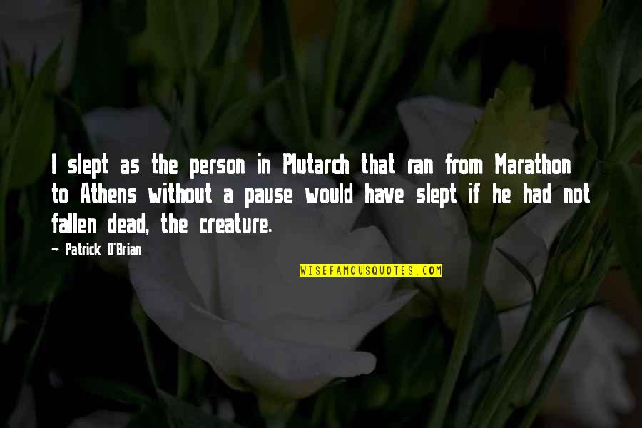 Estrangeiras Quotes By Patrick O'Brian: I slept as the person in Plutarch that Estrangeiras Quotes By Patrick O'Brian: I slept as the person in Plutarch that
