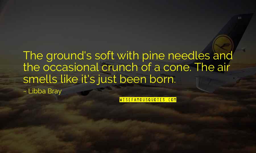 Estre Imiento Sintomas Quotes By Libba Bray: The ground's soft with pine needles and the