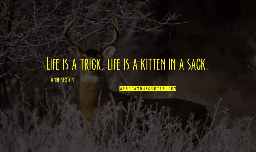 Estrechez Definir Quotes By Anne Sexton: Life is a trick, life is a kitten Estrechez Definir Quotes By Anne Sexton: Life is a trick, life is a kitten