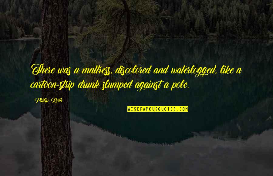 Estrildid Quotes By Philip Roth: There was a mattress, discolored and waterlogged, like