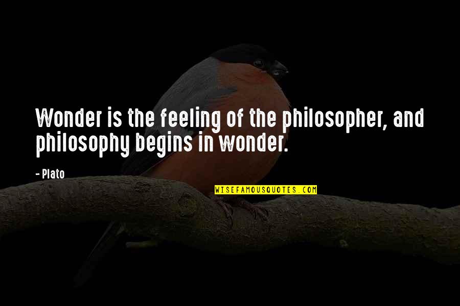 Estructura Organizacional Quotes By Plato: Wonder is the feeling of the philosopher, and