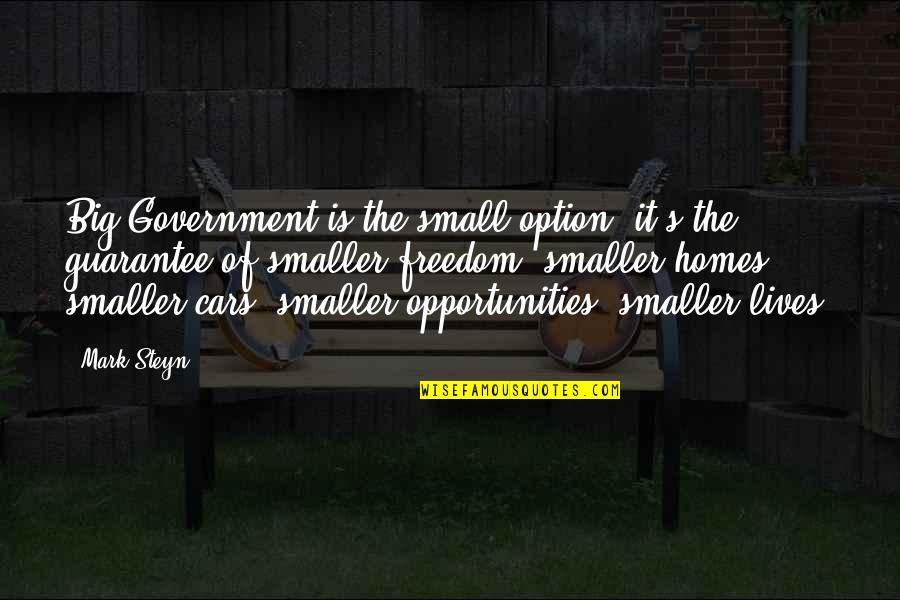 Etana Motivational Quotes By Mark Steyn: Big Government is the small option: it's the
