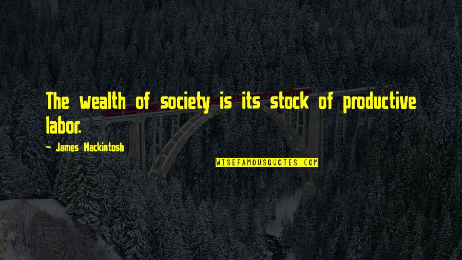 Eternal Bliss Quotes By James Mackintosh: The wealth of society is its stock of
