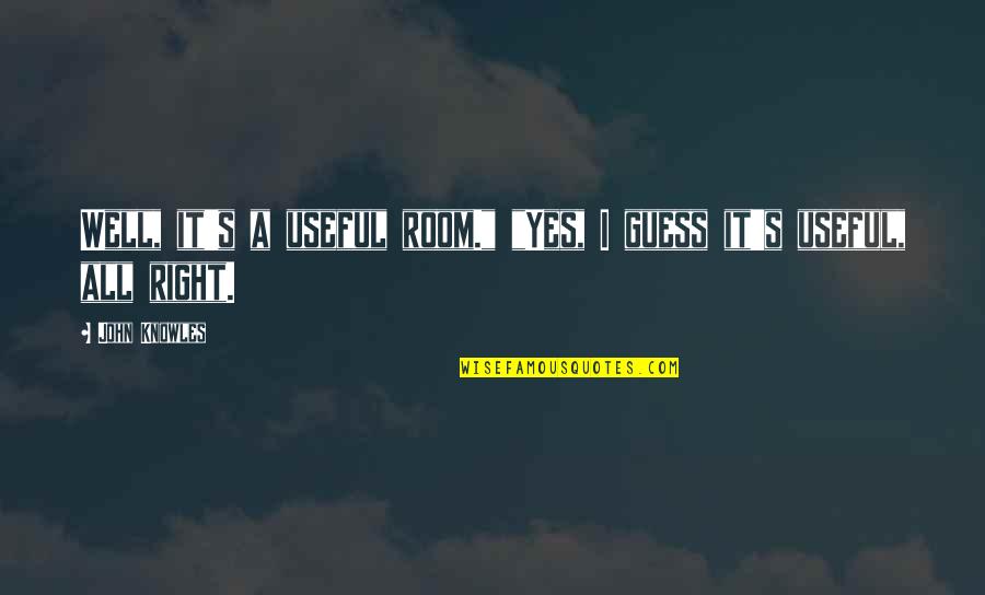 Eternal Echoes Quotes By John Knowles: Well, it's a useful room." "Yes, I guess