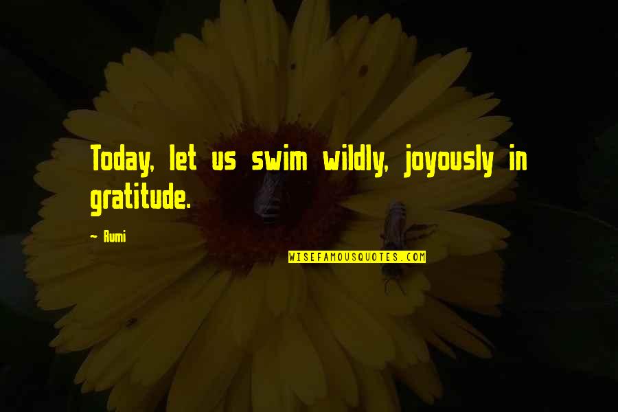 Eternal Perspective Quotes By Rumi: Today, let us swim wildly, joyously in gratitude.