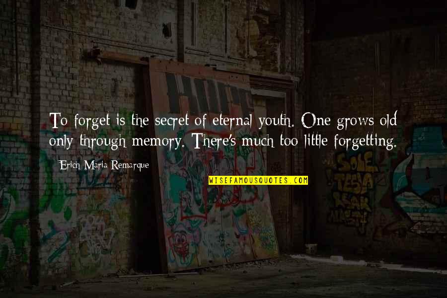 Eternal's Quotes By Erich Maria Remarque: To forget is the secret of eternal youth.