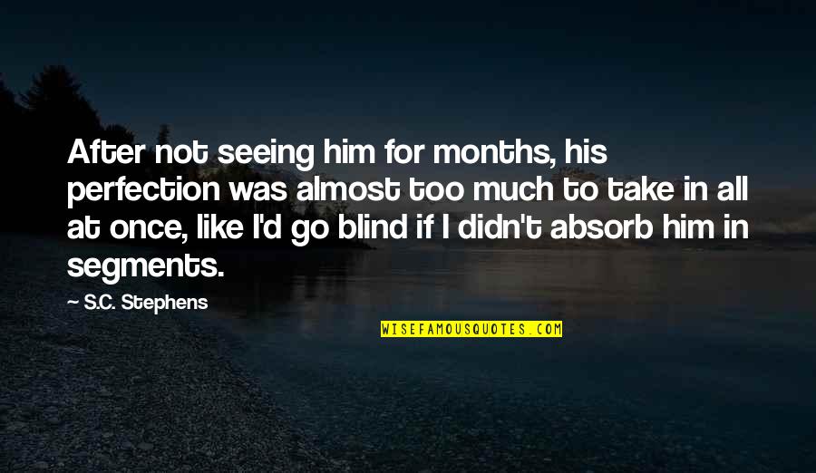 Eternity Of Memories Quotes By S.C. Stephens: After not seeing him for months, his perfection