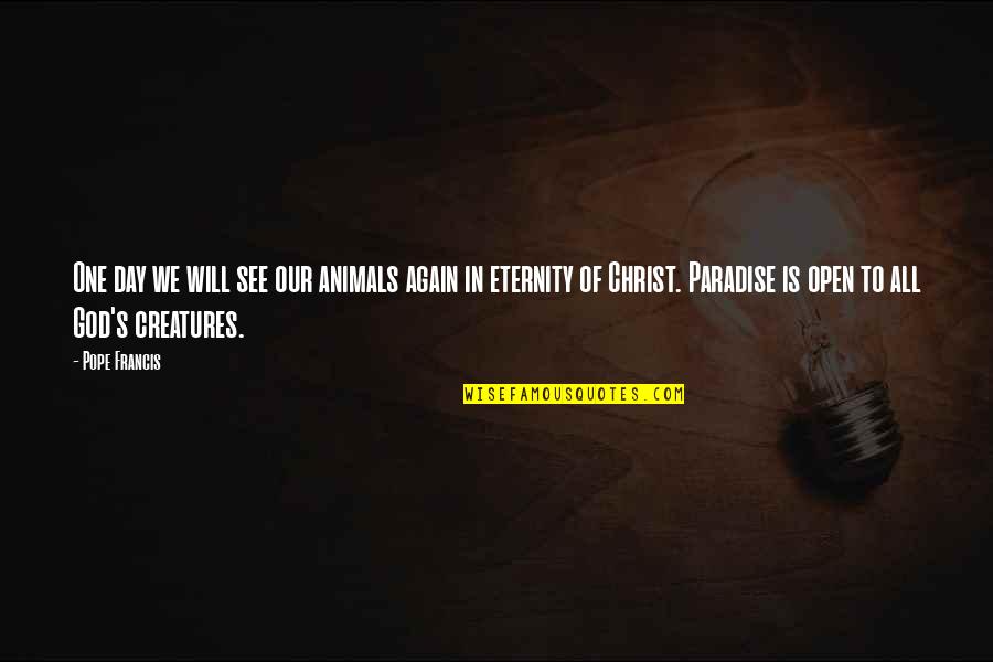 Eternity With Christ Quotes By Pope Francis: One day we will see our animals again Eternity With Christ Quotes By Pope Francis: One day we will see our animals again