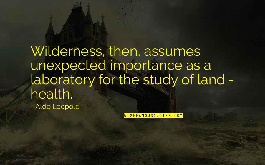 Ethan Allen Furniture Quotes By Aldo Leopold: Wilderness, then, assumes unexpected importance as a laboratory Ethan Allen Furniture Quotes By Aldo Leopold: Wilderness, then, assumes unexpected importance as a laboratory