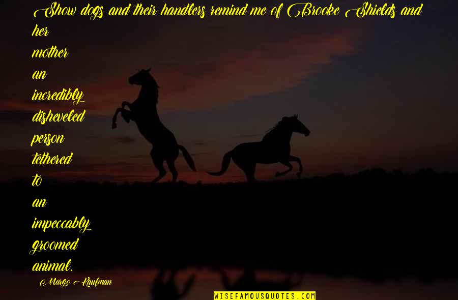 Ethan Nadelmann Quotes By Margo Kaufman: Show dogs and their handlers remind me of Ethan Nadelmann Quotes By Margo Kaufman: Show dogs and their handlers remind me of
