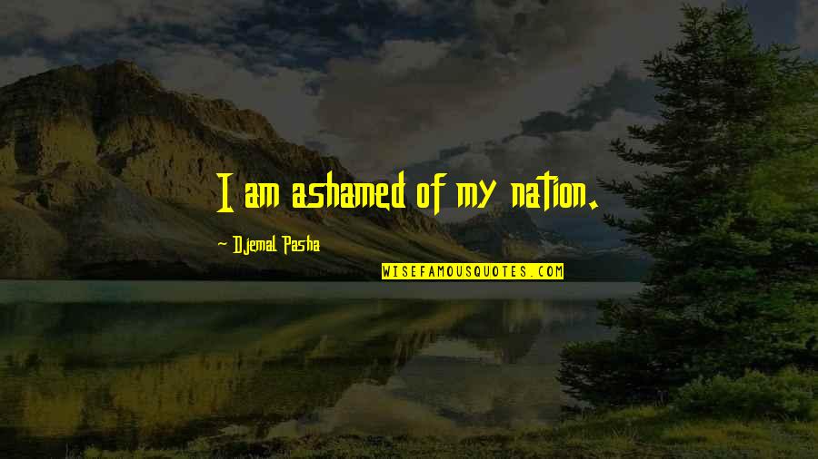 Ethan Stiefel Quotes By Djemal Pasha: I am ashamed of my nation.