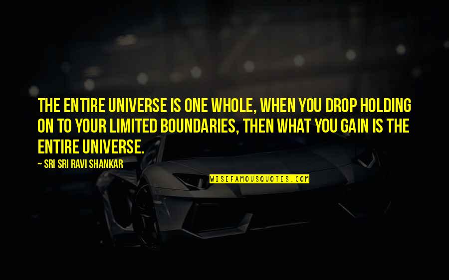 Ethany Mattek Quotes By Sri Sri Ravi Shankar: The entire universe is one whole, when you