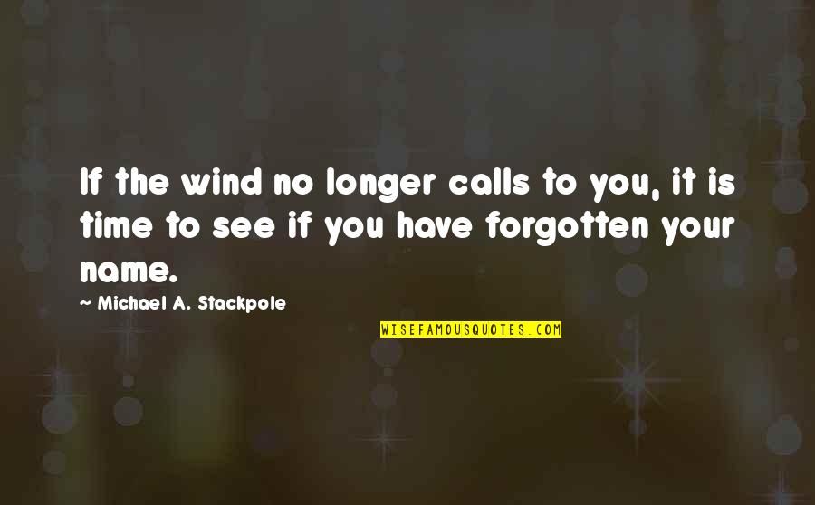 Etheme Quotes By Michael A. Stackpole: If the wind no longer calls to you,