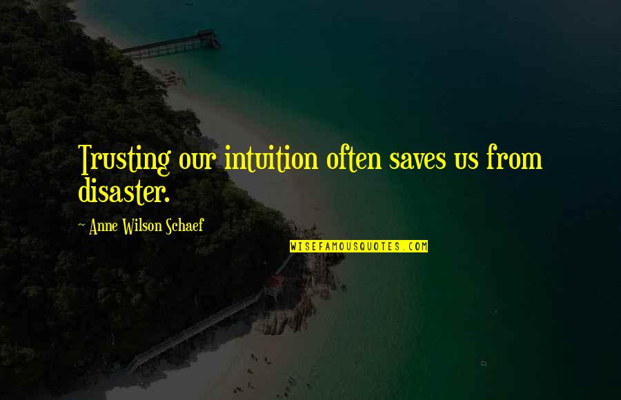 Ethics And Governance Quotes By Anne Wilson Schaef: Trusting our intuition often saves us from disaster. Ethics And Governance Quotes By Anne Wilson Schaef: Trusting our intuition often saves us from disaster.