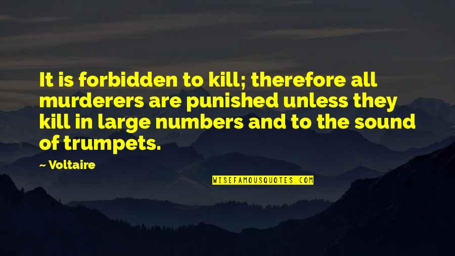 Ethics And Law Quotes By Voltaire: It is forbidden to kill; therefore all murderers