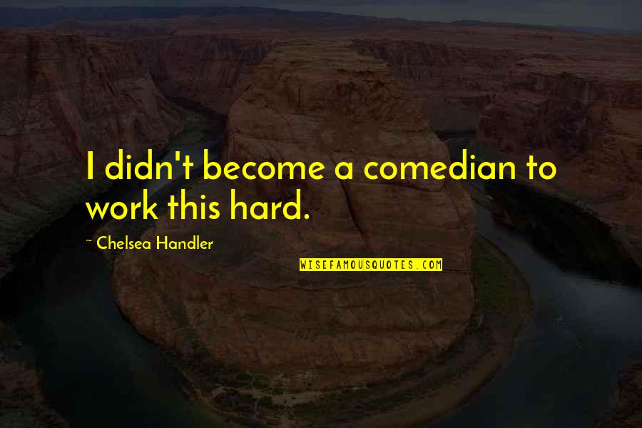 Ethics In Healthcare Quotes By Chelsea Handler: I didn't become a comedian to work this