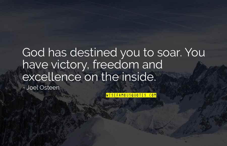 Ethological Perspective Quotes By Joel Osteen: God has destined you to soar. You have