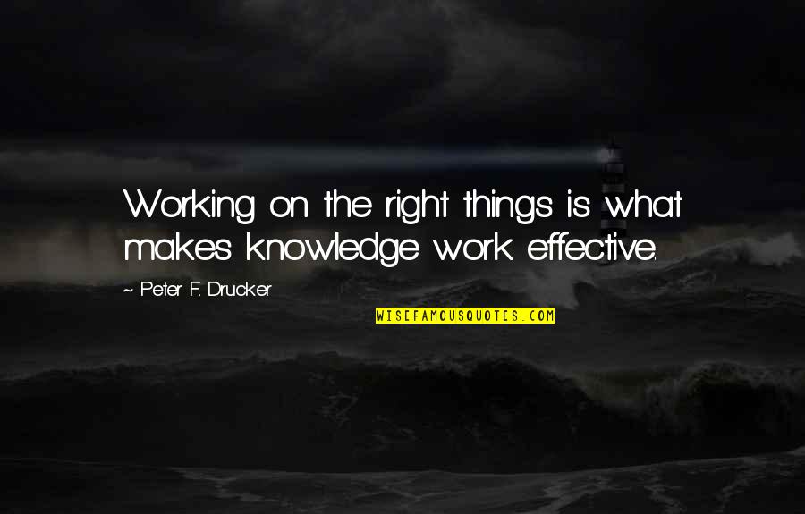 Etiquettical Quotes By Peter F. Drucker: Working on the right things is what makes