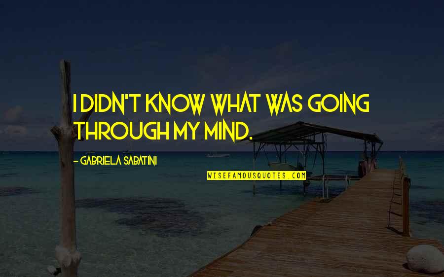 Etmek Ileana Quotes By Gabriela Sabatini: I didn't know what was going through my Etmek Ileana Quotes By Gabriela Sabatini: I didn't know what was going through my