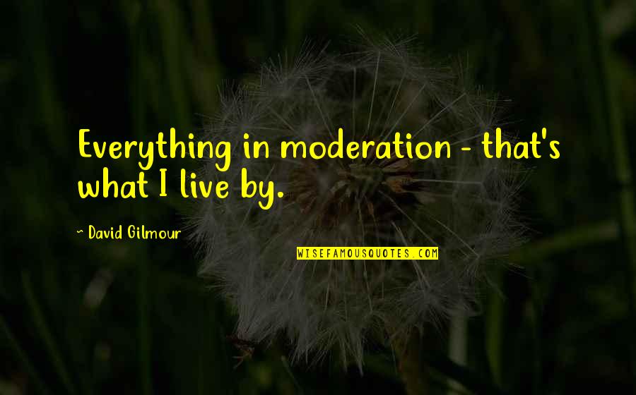 Etosha Welder Quotes By David Gilmour: Everything in moderation - that's what I live