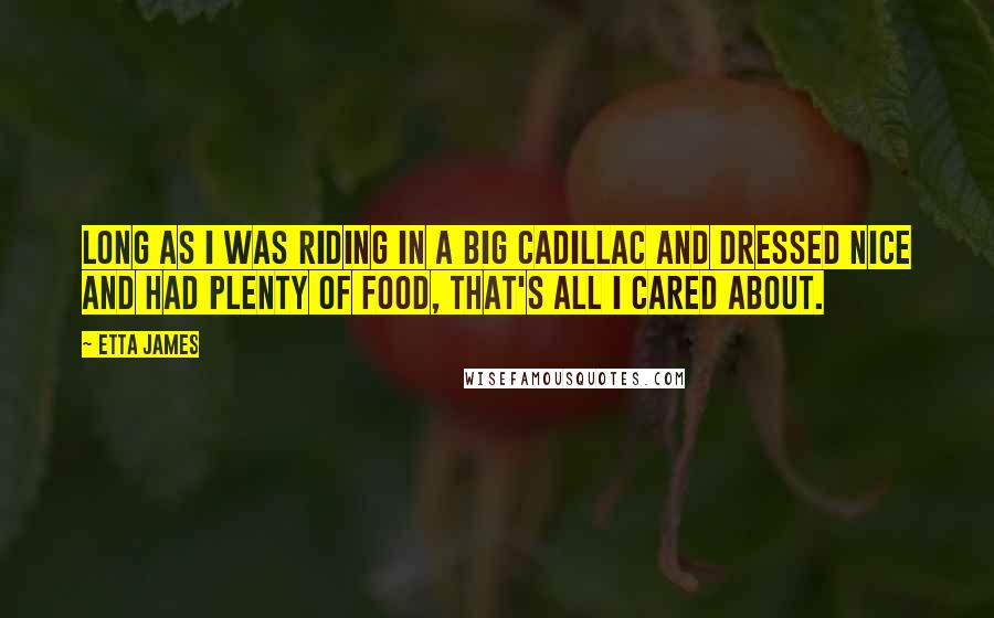 Etta James quotes: Long as I was riding in a big Cadillac and dressed nice and had plenty of food, that's all I cared about.