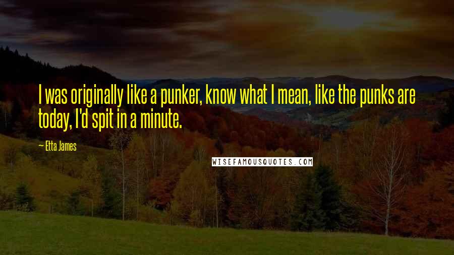 Etta James quotes: I was originally like a punker, know what I mean, like the punks are today, I'd spit in a minute.