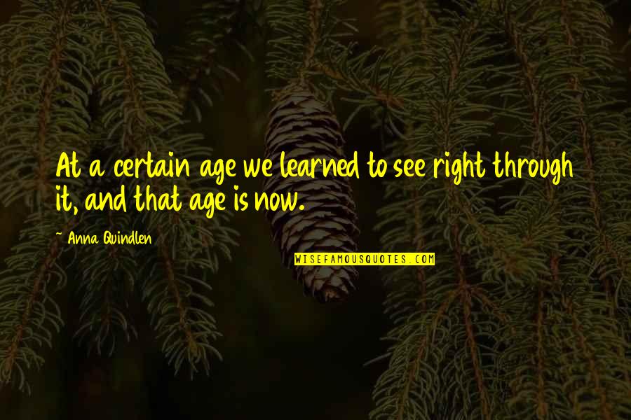 Eucharist By Saints Quotes By Anna Quindlen: At a certain age we learned to see