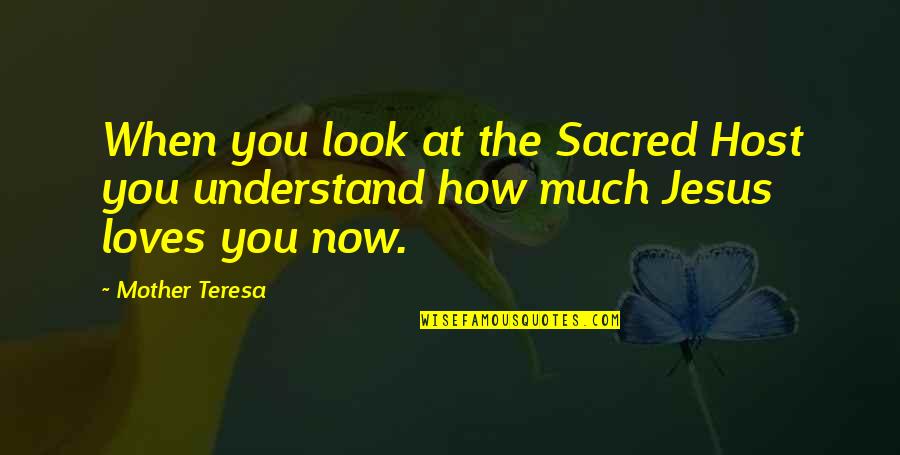Eucharist Quotes By Mother Teresa: When you look at the Sacred Host you
