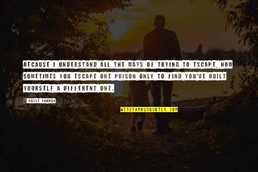 Eudaimonia Philosophy Quotes By Gayle Forman: Because I understand all the ways of trying Eudaimonia Philosophy Quotes By Gayle Forman: Because I understand all the ways of trying