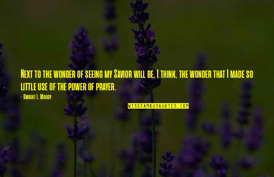 Eudocia Cabello Quotes By Dwight L. Moody: Next to the wonder of seeing my Savior Eudocia Cabello Quotes By Dwight L. Moody: Next to the wonder of seeing my Savior