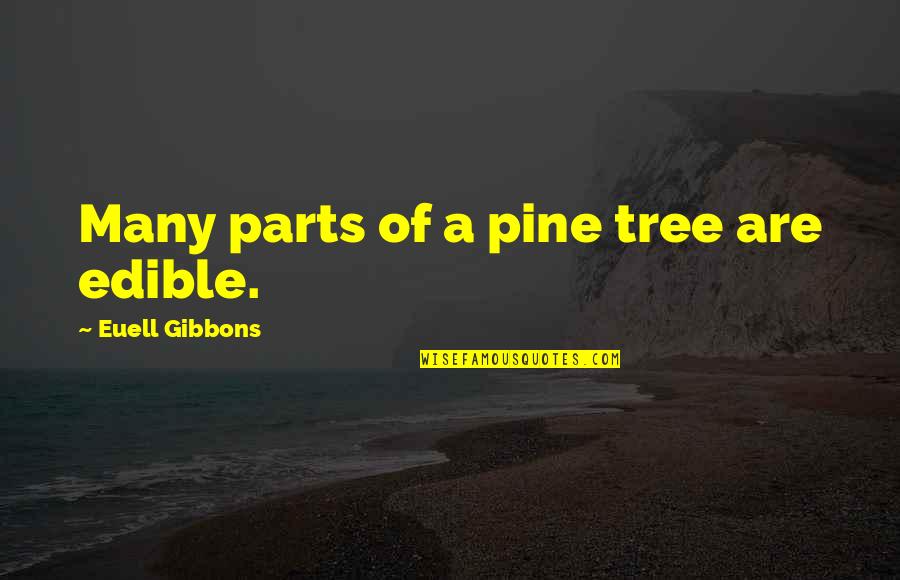 Euell Quotes By Euell Gibbons: Many parts of a pine tree are edible. Euell Quotes By Euell Gibbons: Many parts of a pine tree are edible.