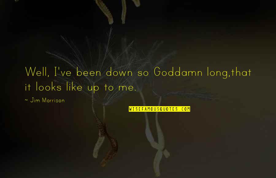 Eufrasia Propiedades Quotes By Jim Morrison: Well, I've been down so Goddamn long,that it