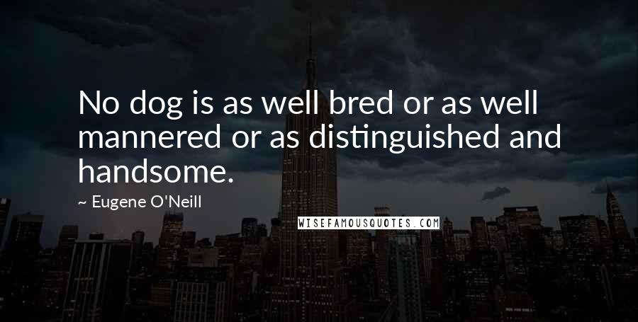 Eugene O'Neill quotes: No dog is as well bred or as well mannered or as distinguished and handsome.