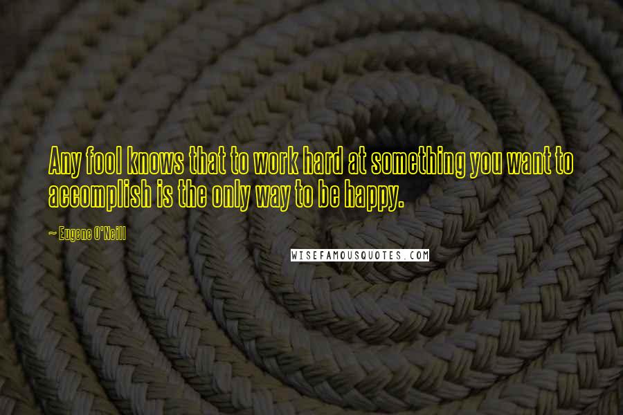 Eugene O'Neill quotes: Any fool knows that to work hard at something you want to accomplish is the only way to be happy.